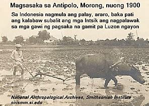 araro scandal